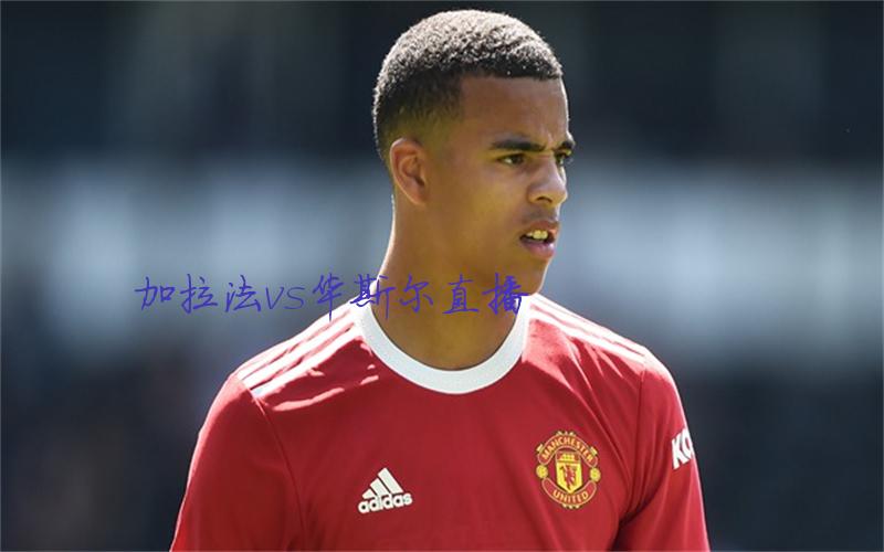 亚冠比赛加拉法vs华斯尔直播